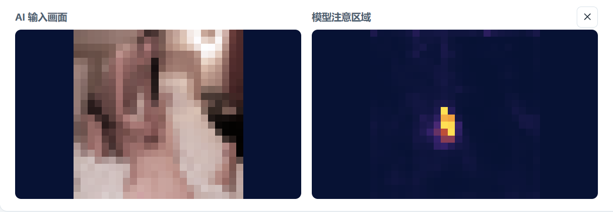 左侧为输入画面,右侧为模型注意区域,亮色区域表示模型较关注的位置
